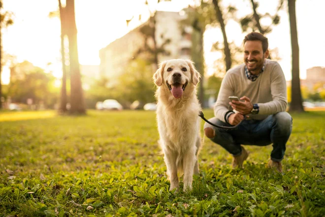 Foto: bbernard/Shutterstock