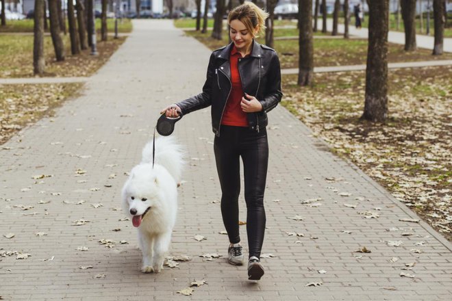 Dobro premislite, komu boste zaupali svojega najboljšega prijatelja. FOTO: BidaOleksandr/Shutterstock
Foto: