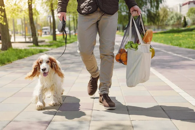 Foto: Aleksey Boyko/Shutterstock