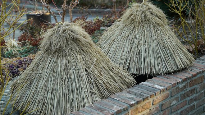 Manjše posodovke na vrtu lahko zaščitimo s slamnatim stožcem. Foto: shufilm/Shutterstock
Foto: