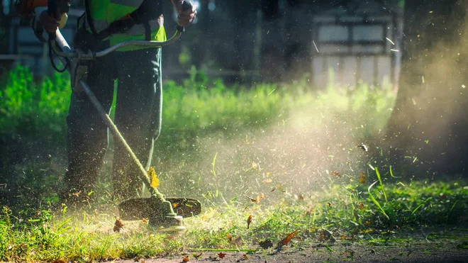 Foto: mykhailo pavlenko/Shutterstock