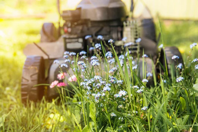 Foto: FotoHelin/Shutterstock