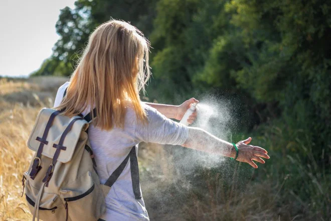 Foto: encierro/Shutterstock