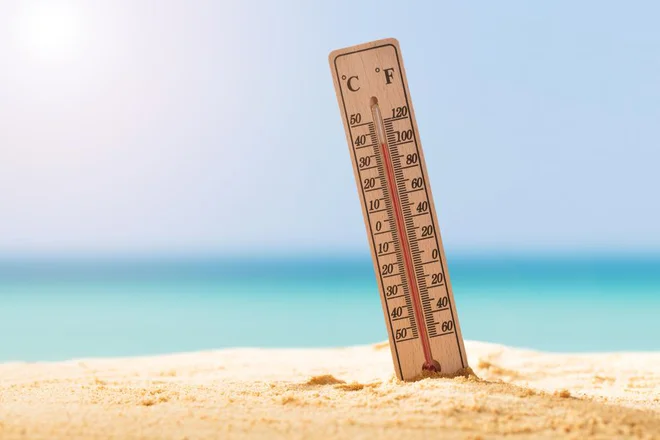 Foto: Andrey_Popov/Shutterstock