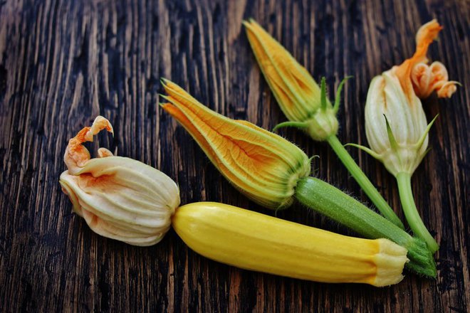 Levo ženska, desno moška cvetova bučke. Če ima rastlina samo moške, skoraj vse poščipamo. Lahko jih uporabimo v kuhinji. Foto: Lyudmila Mikhailovskaya/Shutterstock
Foto: