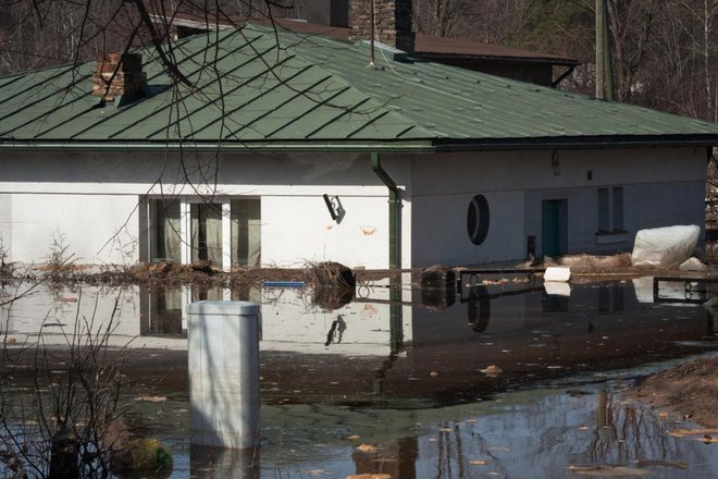 Pred kakršnimi koli posegi po poplavi je treba počakati, da se vse površine osušijo, kar traja najmanj mesec dni. Foto: Eriks Z/Shutterstock
Foto: Eriks Z/Shutterstock