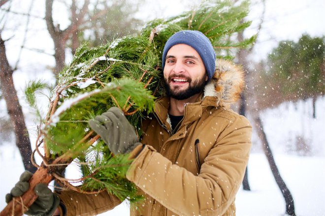 Če boste za jelko skrbeli pravilno, bo videti sveža tudi do 30 dni. FOTO: Shutterstock
Foto: