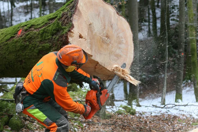 Foto: Ljubo Vukelič/dokumentacija Dela