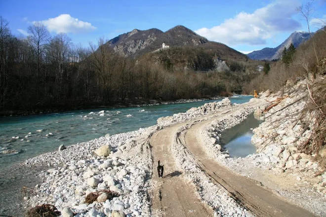 Foto: Blaž Močnik/Delo