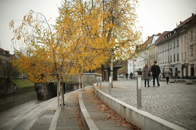 Foto: Jure Eržen/Delo