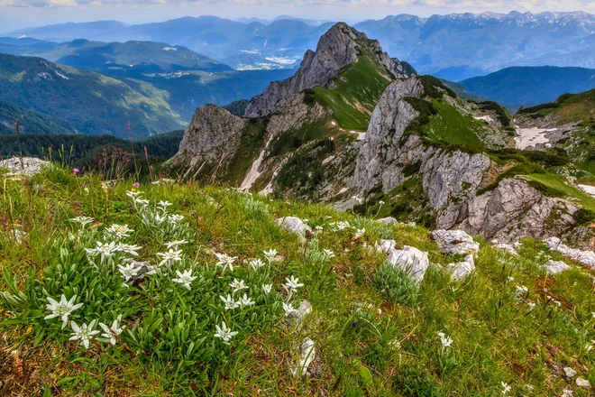Foto: Shutterstock