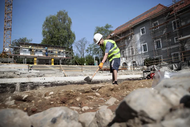 Foto: Uroš Hočevar/Delo