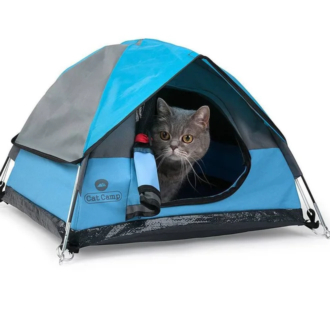 Foto: Facebook Cat Camp