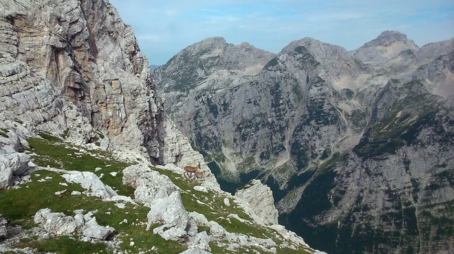 Foto: Maja Grgič