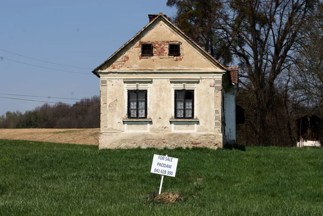 Foto: Matej Družnik/Delo