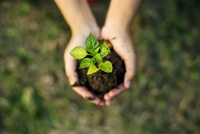 Foto: Shutterstock