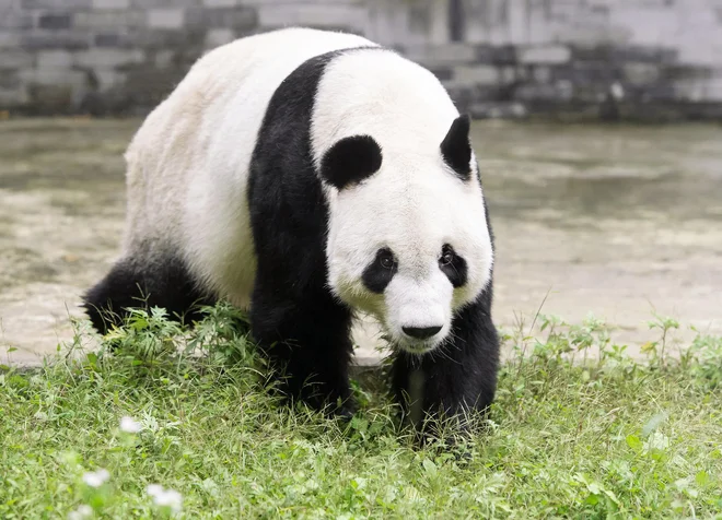 Foto: ZOO Schönbrunn