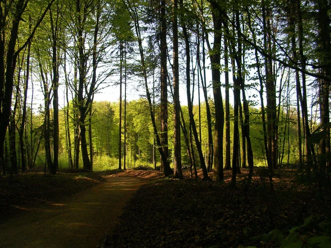 Foto: Oste Bakal/dokumentacija Dela