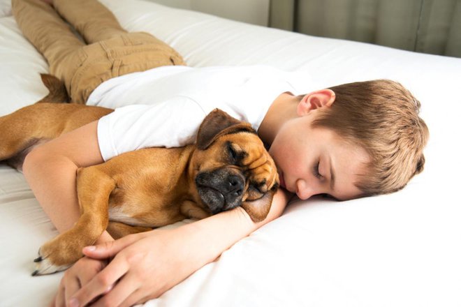 Nov ritem začnite uvajati postopoma, tako kot pri otrocih. FOTO: Anna Hoychuk/Shutterstock
Foto: