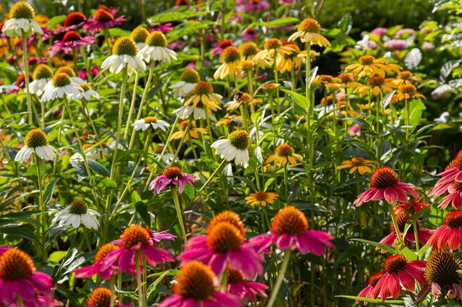 Foto: Jokue-photography/Shutterstock