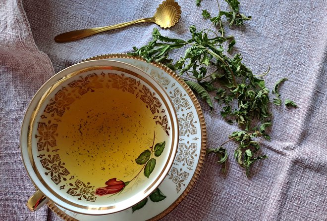 Čaj iz citronke pomirja, pomaga pri prehladih, zamašenem nosu, ohlajen pa je osvežujoča pijača poletnih dni. Foto: Jerneja Jošar