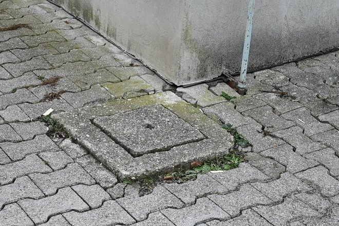 Jaški so dober pokazatelj, za koliko centimetrov se je teren posedel. Foto: Bojan Žnidaršič 