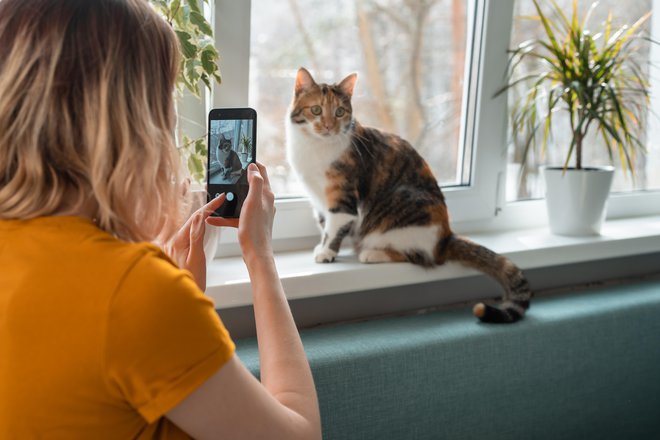 Ker vemo, kako ponosni ste na svoje male družabnike, vas vabimo, da nam jih predstavite. Foto: Mariaborovkova/ Shutterstock