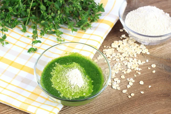 Pesto iz kurjih črevc. Foto: Iva/Shutterstock