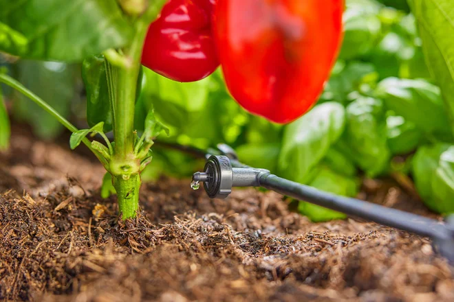 GARDENA AquaBloom L omogoča učinkovito rabo vode z usmerjenim zalivanjem neposredno pri koreninah. FOTO: GARDENA