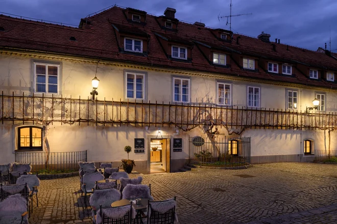 Prenova hiše najstarejše trte na svetu, arhitektura Arhisol. Foto Miran Kambič/