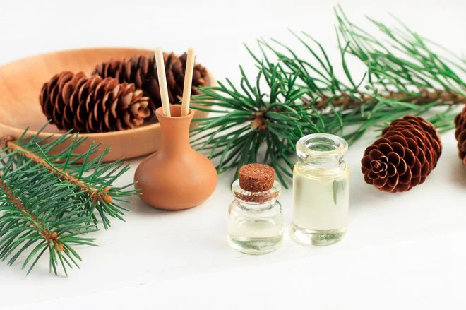 Izdelava domače dišave ni tako zapletena, kot bi si mislili. Foto Anna Ok//Shutterstock