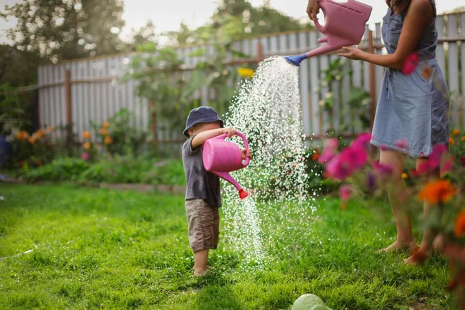 Najpogostejša napaka poleti je pogosto, a plitvo zalivanje. Foto Natalia Lebedinskaia//Shutterstock
