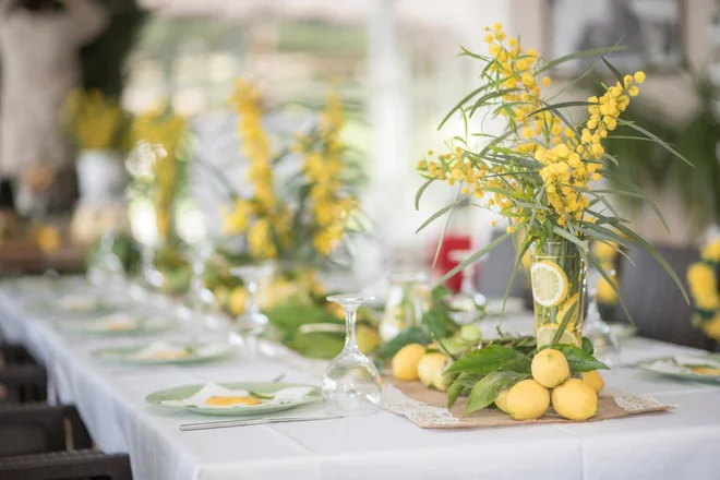 Limone so lahko del pogrinjka kot okrasje. Foto Frelancer/Shutterstock
