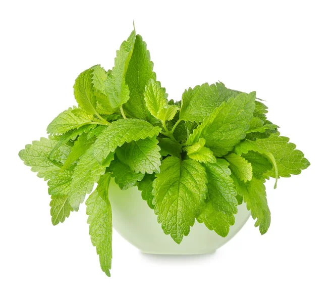 Melisa Foto Olgakot17/Shutterstock