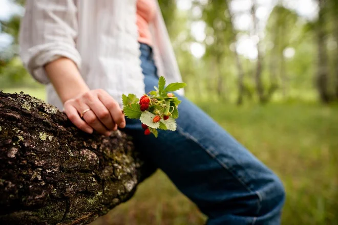 Pri nabiranju gozdnih jagod velja poznati nekaj pravil. Foto IRA_EVVA/Shutterstock
