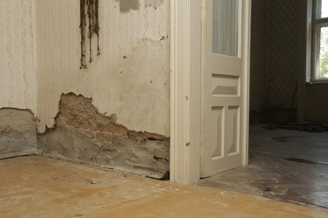 Pri nakupu starejše hiše je vlaga eden najpogostejših problemov. FOTO: triocean/Shutterstock 