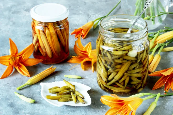 Popki maslenic, vloženi v kis. Foto Lyudmila Mikhailovskaya/Shutterstock