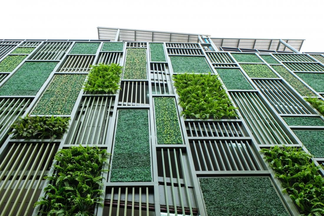 zelene stene - konferenca, Biotehniški center Naklo, zelene fasade