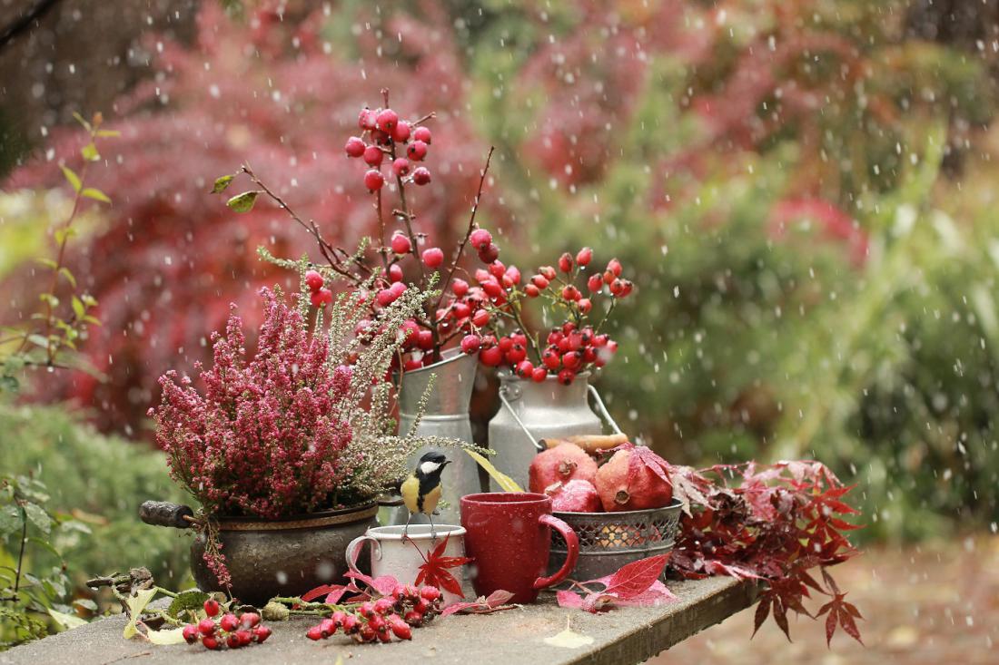 Svetlana Gorbacheva/Shutterstock