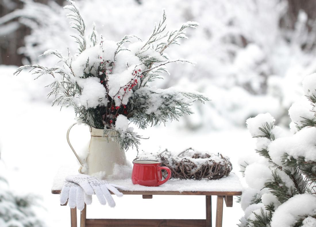 Svetlana Gorbacheva/Shutterstock
