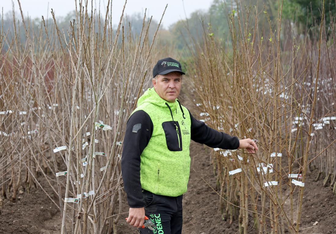 Vodja drevesnice Studenec Osman Agičić nas je opozoril na značilnosti dreves, o katerih moramo razmisliti pred nakupom sadike. Foto: Blaž Samec