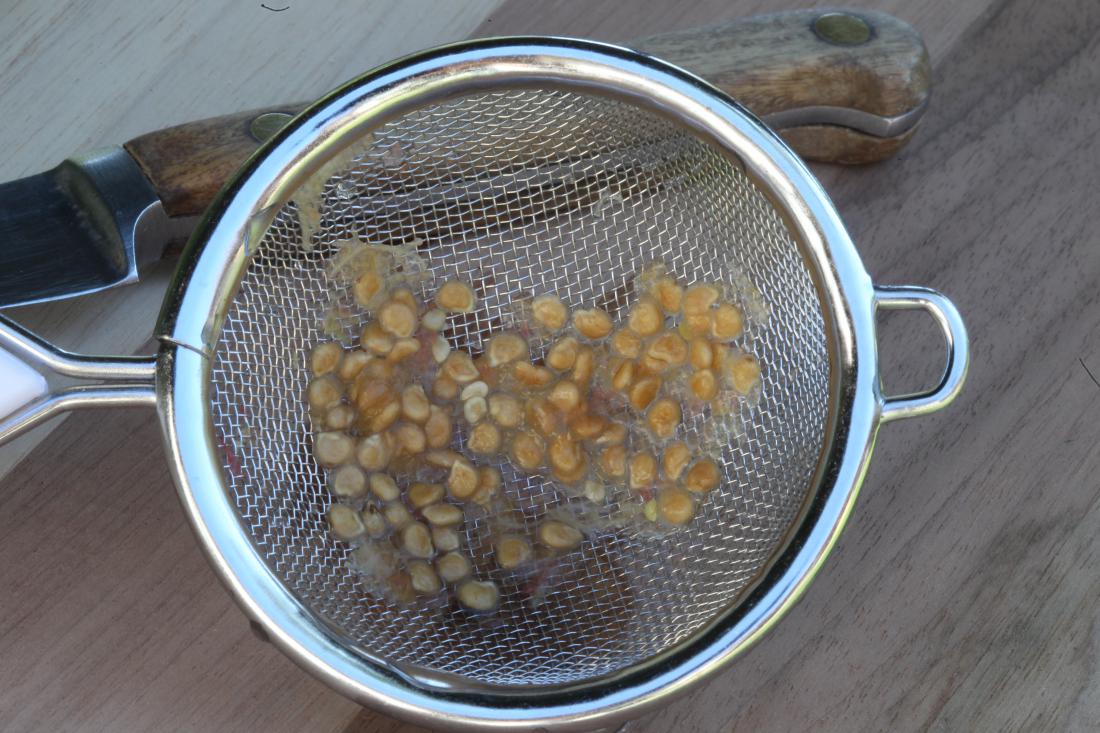 Tako po preprostem postopku kot pri čiščenju semena s fermentacijo seme temeljito speremo.