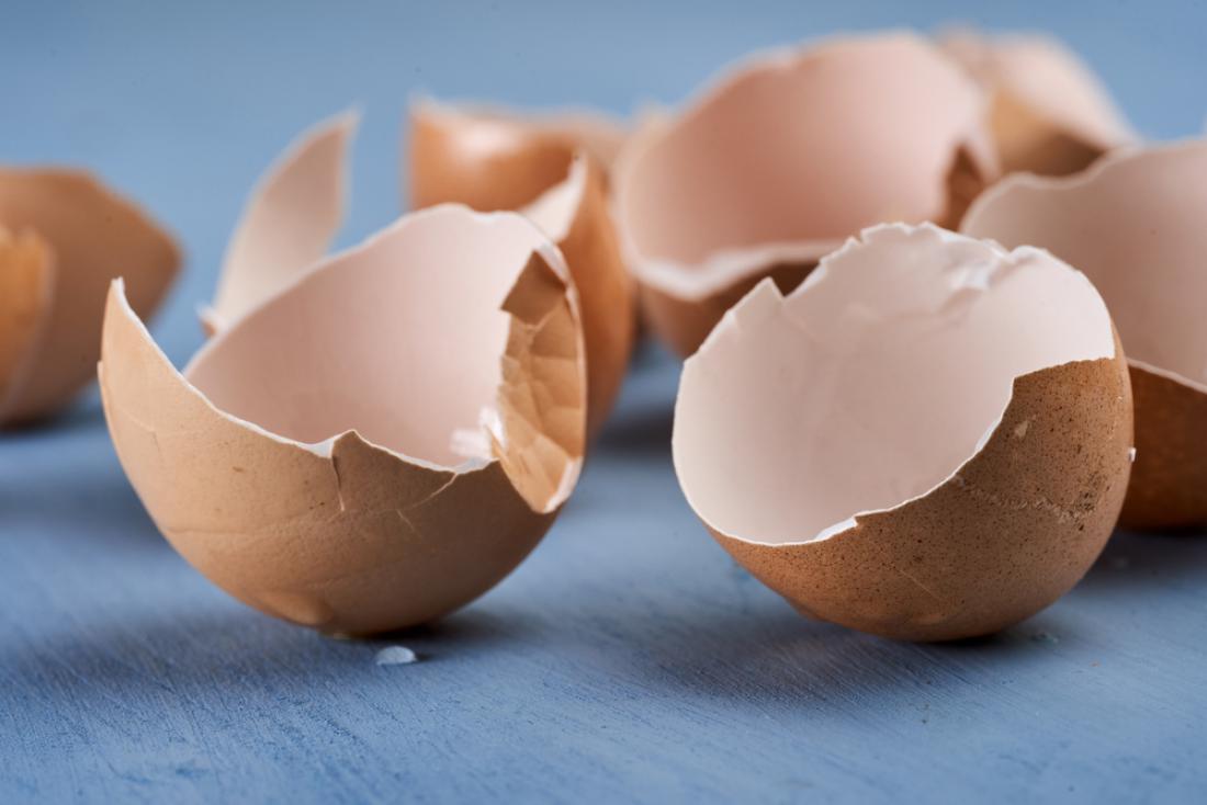 Če vašemu psu primanjkuje kalcija, potem jajčno lupino posušite, zmeljite in mu jo dodajte k prehrani. FOTO: Slatan/Shutterstock