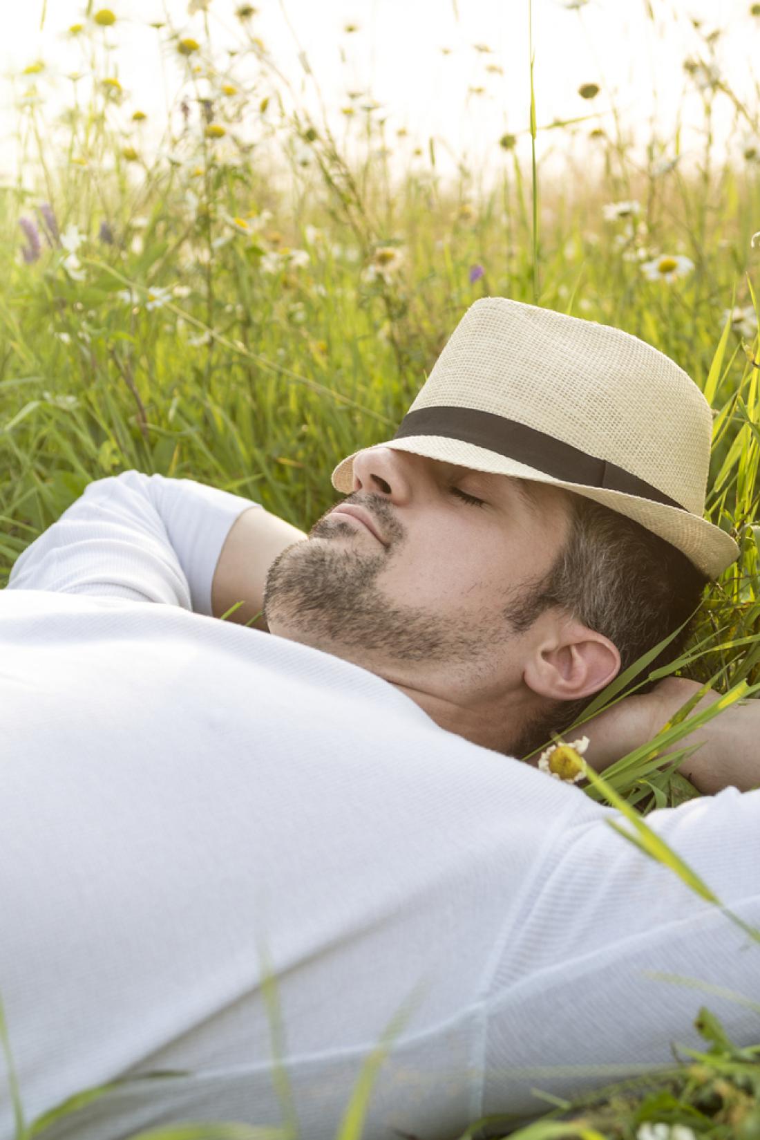 Možgani ljudi, ki redno dremajo, so večji za 15 kubičnih centimetrov. FOTO: Lopolo/Shutterstock
