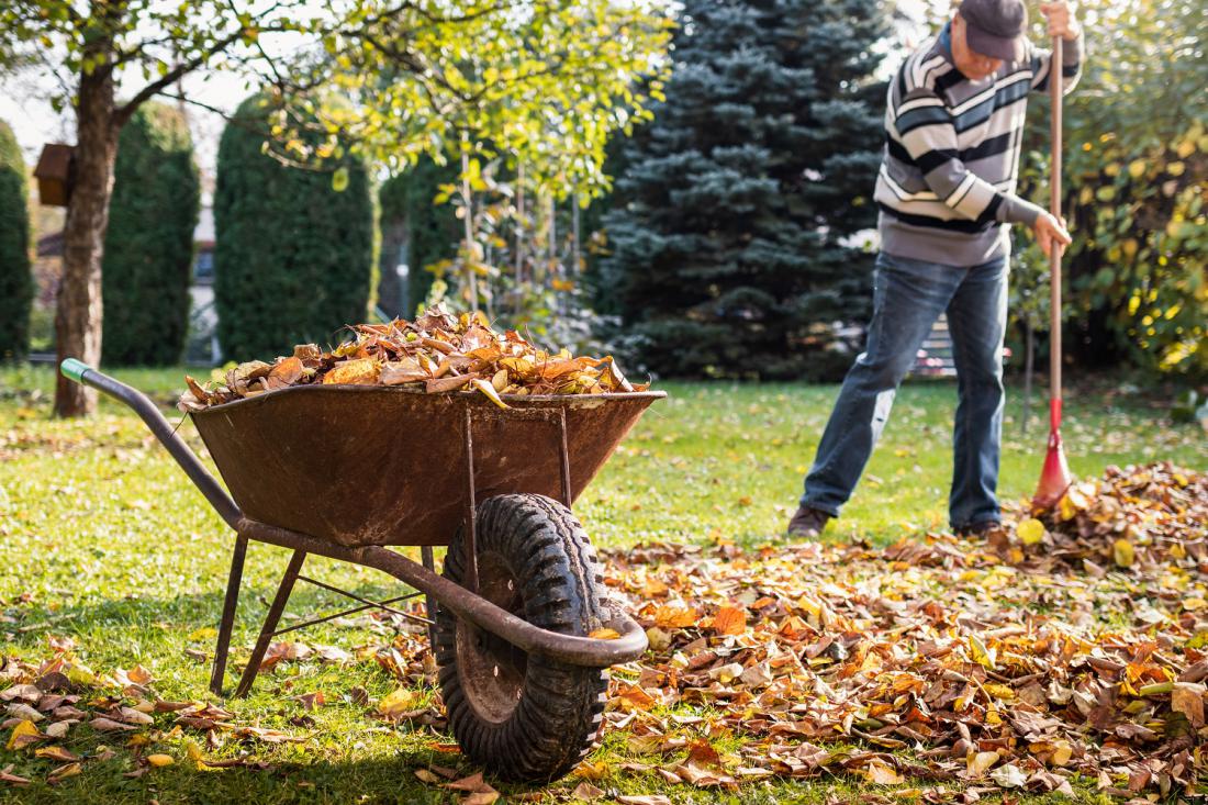 Z rednim grabljenjem listja v suhi jeseni pomagamo trati. Foto: encierro/Shutterstock