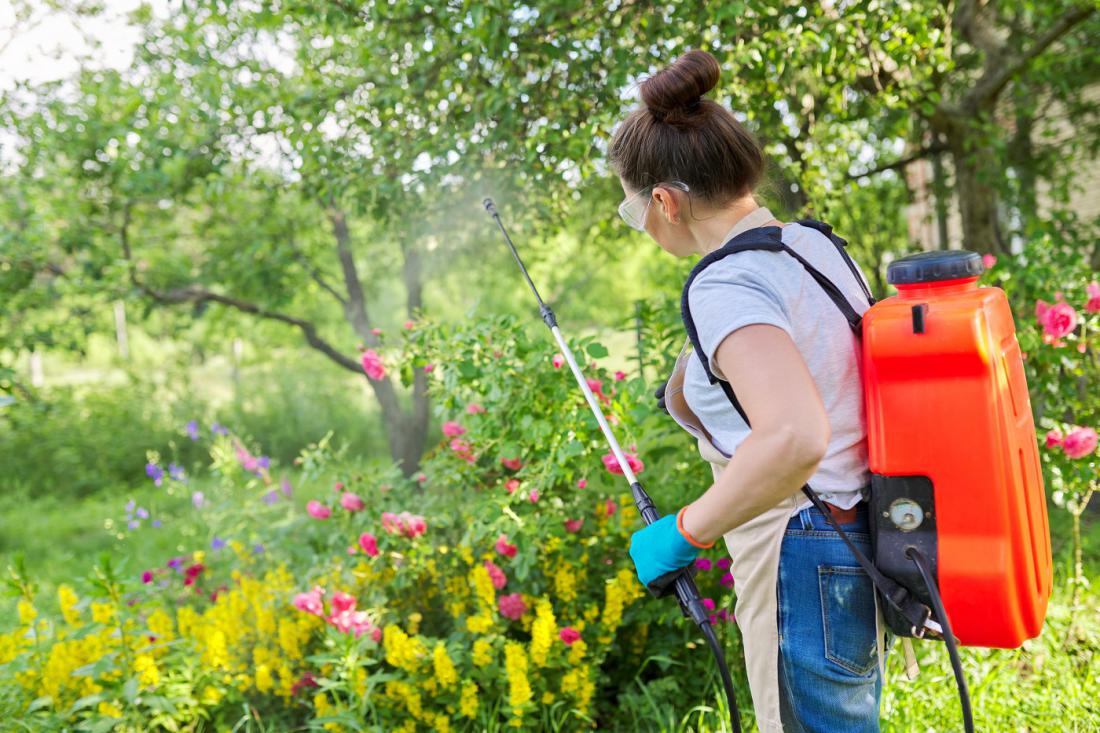 Izognimo se uporabi pesticidov v vrtu. Foto: VH-studio/Shutterstock