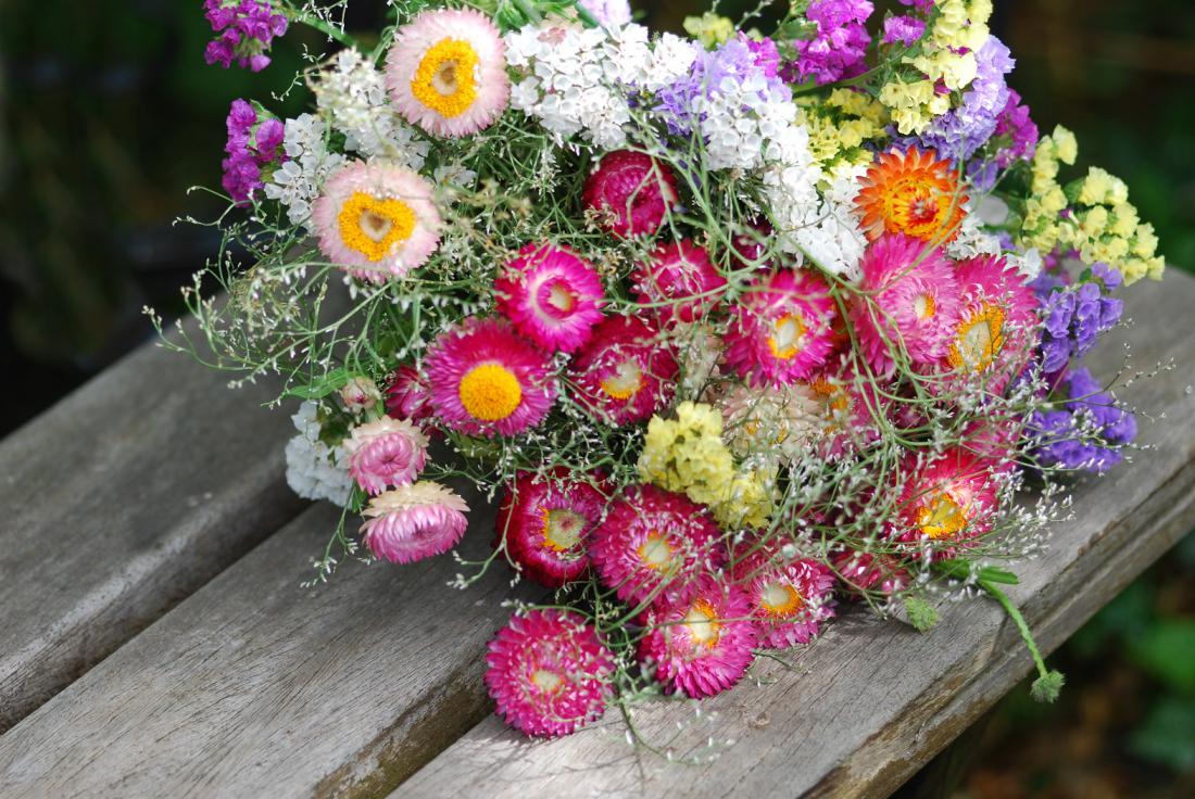 Šopek suhih rož in static je lep tudi v sveži različici, za v vodo. Foto: petratrollgrafik/Shutterstock