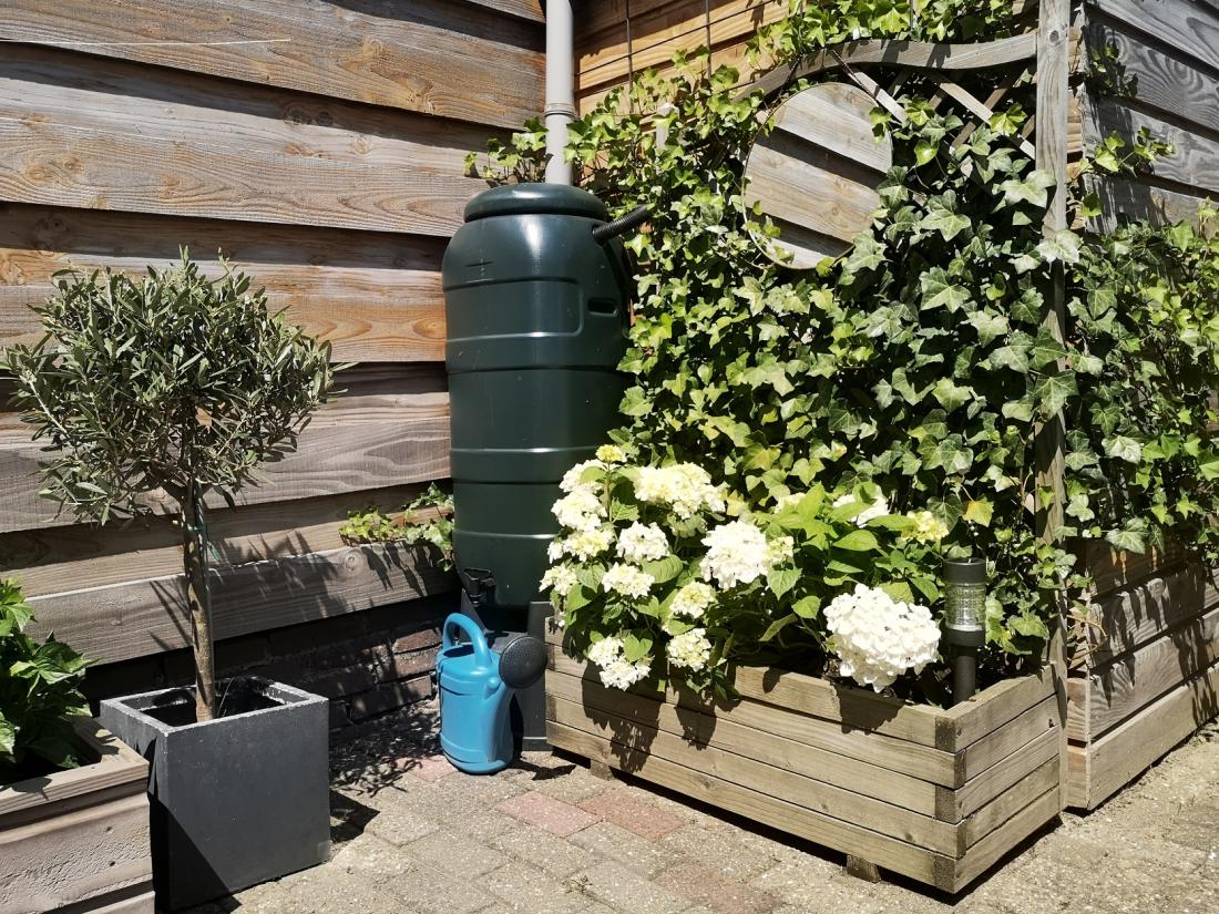 Za vrtni zbiralnik deževnice zadostuje že majhna strešna površina. Foto: Patrick Herzberg/Shutterstock