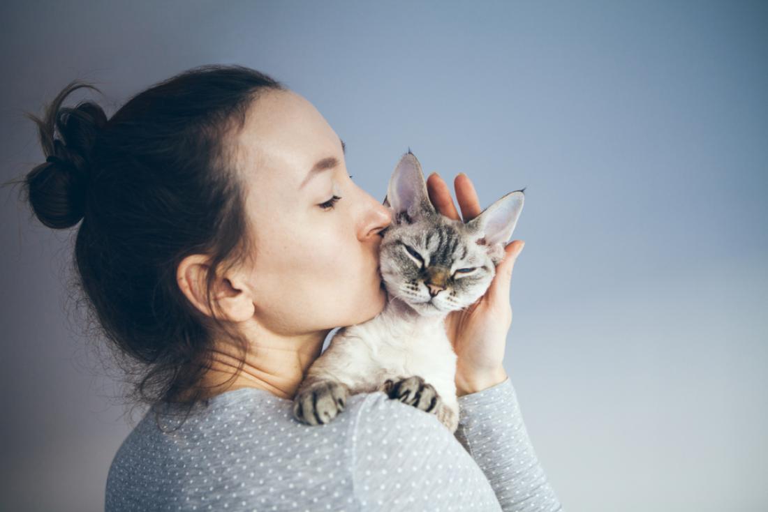 Mačji lastniki so bolj občutljivi in vase zaprti. FOTO: Veera/Shutterstock 