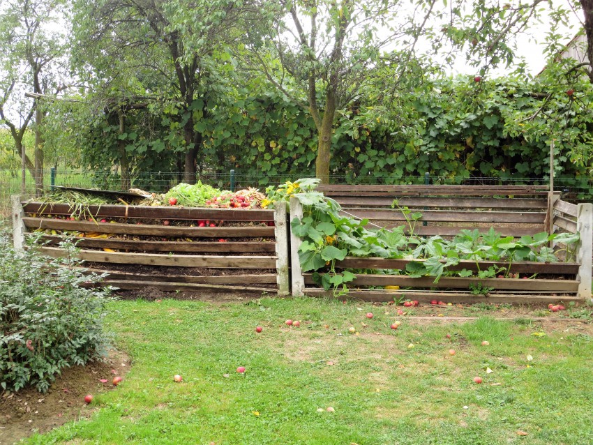 Z domačim kompostom lahko gnojimo jeseni ali spomladi.